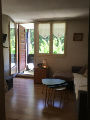 Appartement chamonix face au mont blanc